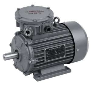 Flameproof Motors