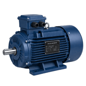 Low Voltage Motors