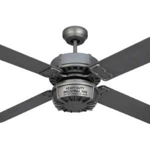 Ceiling Fans