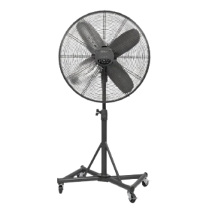 Pedestal Fans