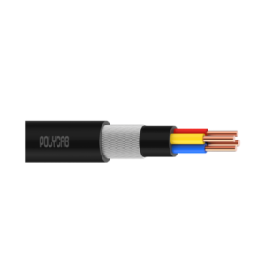 Polycab LT Copper Armour Cable